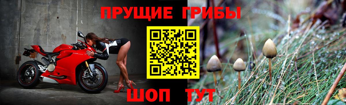 Жуковский  где можно купить наркотик  Вход с VPN  Галлюциногенные грибы мицелий 